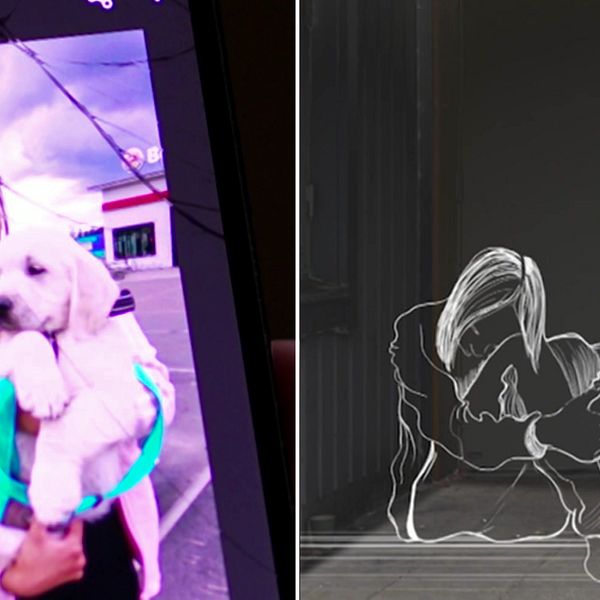 Foto på en mobiltelefon med trasig skärm, en tjej (Jenny Herberts) ler med en hund i famnen, delad bild på en låst dörr, en tecknad flicka sitter ner på marken med ansiktet i knäet
