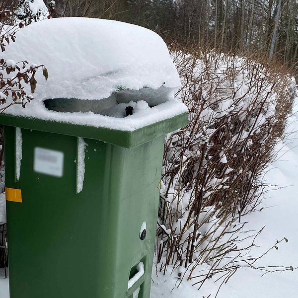 Snöig och överfull soptunna.