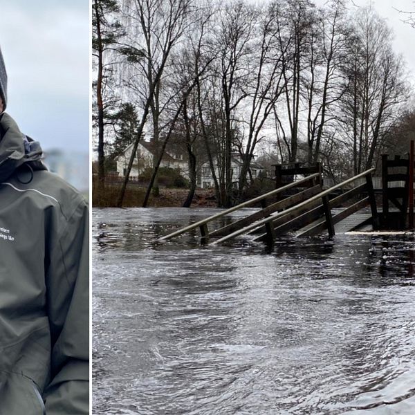 En splitbild med Måns Lindell, vattenhandläggare på Länsstyrelsen i Jönköping till vänster där han tittar in i kameran. Till höger är en bild på en brygga i Lagan som är långt under vattnet på grund av översvämningarna.