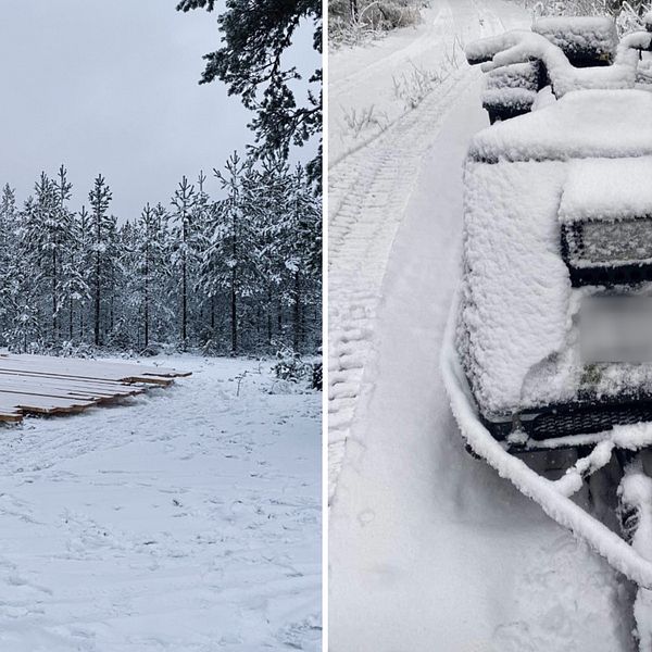 Delad bild. Vänster: Snötäckt skog med plankor på marken. Höger: Snötäckt snöskoter vid väg.