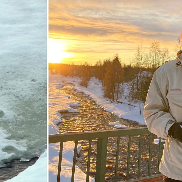 Spår från utter och Susanne Backe vid Råneälven.
