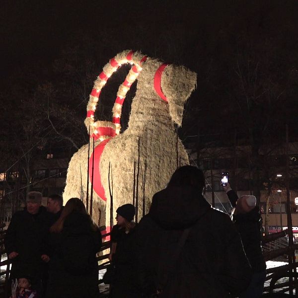 Gävlebocken lyser upp mörkret vid Esplanaden i stadens centrum.