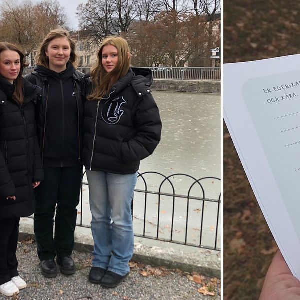 Tvådelad bild: Gruppbild på författarna och UF-företagarna: fyra gymnasietjejer står framför en bro och ett ett uppslag ur boken.