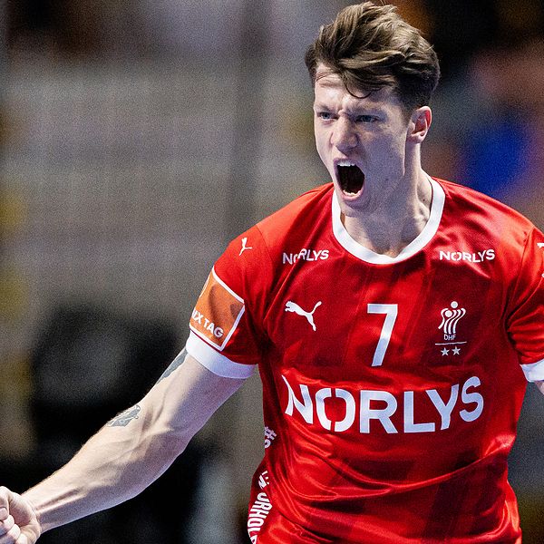 Danmarks Emil Jakobsen firar under matchen mot Ungern.