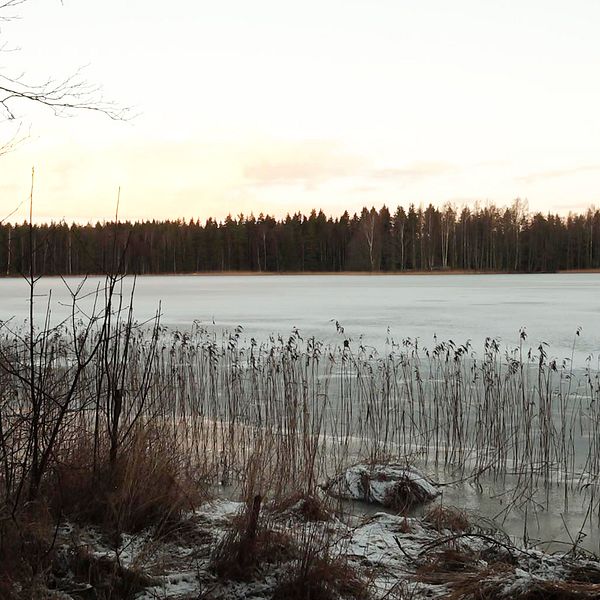 En bild på en frusen sjö.