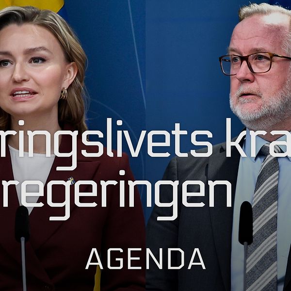 Ebba Busch (KD), energi- och näringsminister och Johan Pehrson (L), arbetsmarknads- och integrationsminister.