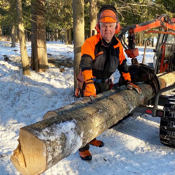 Örjan Nilsson i Lit står vid en skogsmaskin i sin skog, iklädd arbetskläder och skyddshjälm och ser allvarlig ut när han kommenterar de stigande skogspriserna.