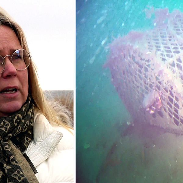 Lisa Bredahl Nerdal, utredare Havsmiljöenheten, Havs- och vattenmyndigheten och bild på en hummertina, eller så kallad spöktina, på havets botten.