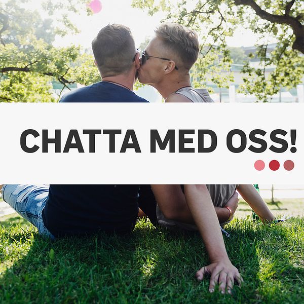 Genrebild på manligt homosexuellt par som pussas sittandes på en gräsmatta.
