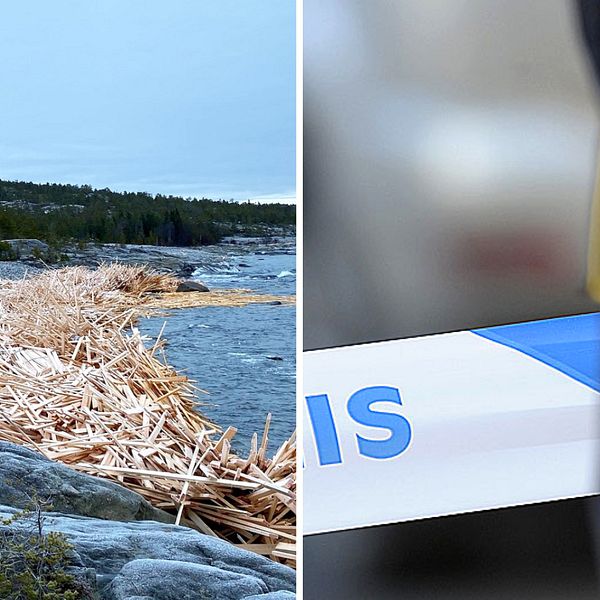 Delad bild. Vänster: Nedrivna träd vid strand. Höger: Polistejp och polisuniformsdetalj.