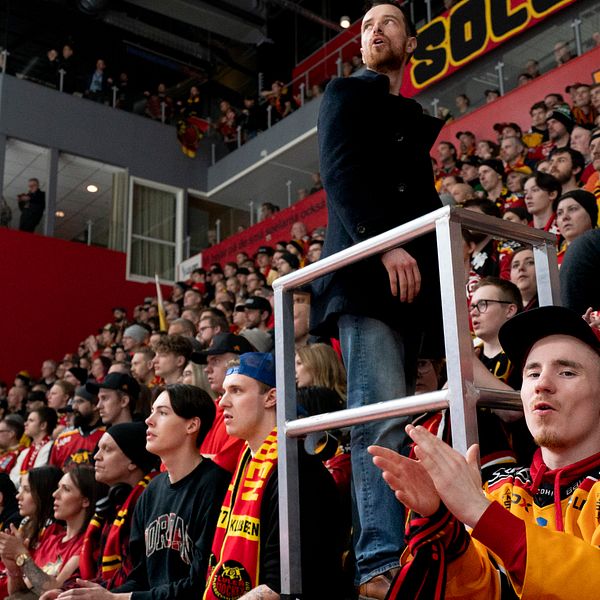 publik som hejar på Luleå, i en stor ishall, många har Luleås supporterfärger på sig i svart, gult och rött.