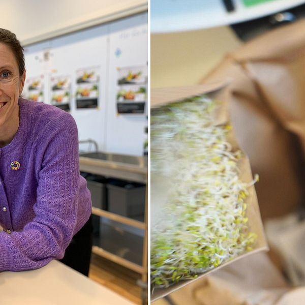 Två bilder i en. Till vänster: Karin Fritz, lila tröja och brunt hår,  lutar sig över en köksö. Till höger: groddar som slängs i en brun kompostpåse.