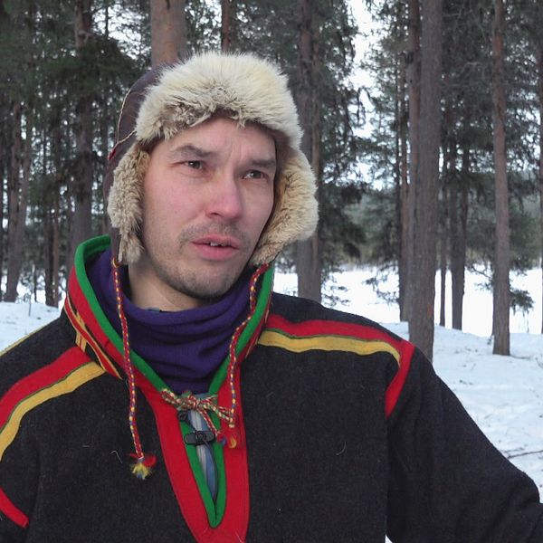 Aslak Allas, ordförande i Talma sameby intervjuas framför en glesare skog.