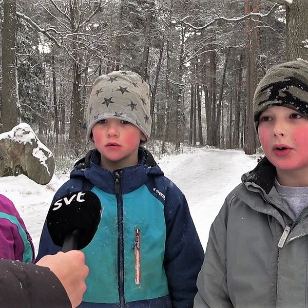 Ida, Nilss och Elias, tre förskolebarn, står ute i snön med en skulptur bakom sig och blir intervjuade av SVT.