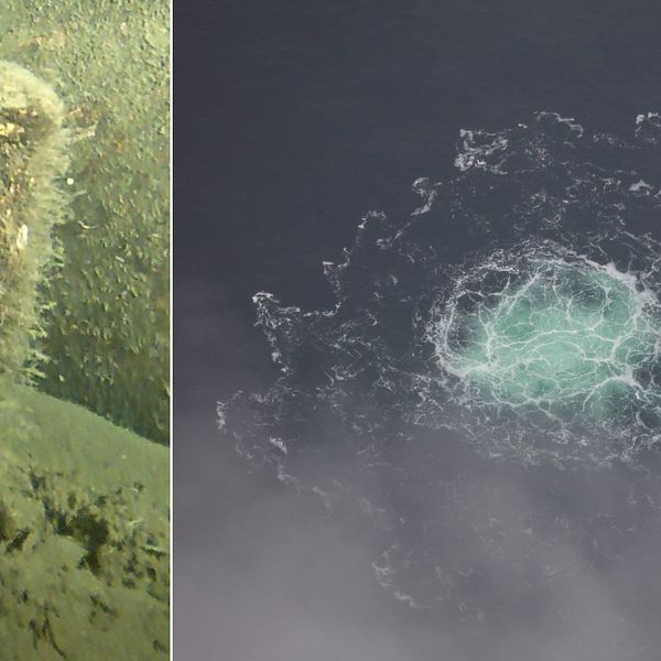 Det okända föremålet som nu ska bärgas beskrivs som cylinderformat och är cirka 40 cm högt samt 10 cm i diameter. Det hittades på danskt vatten i Östersjön nära Nord Stream 2-läckan.