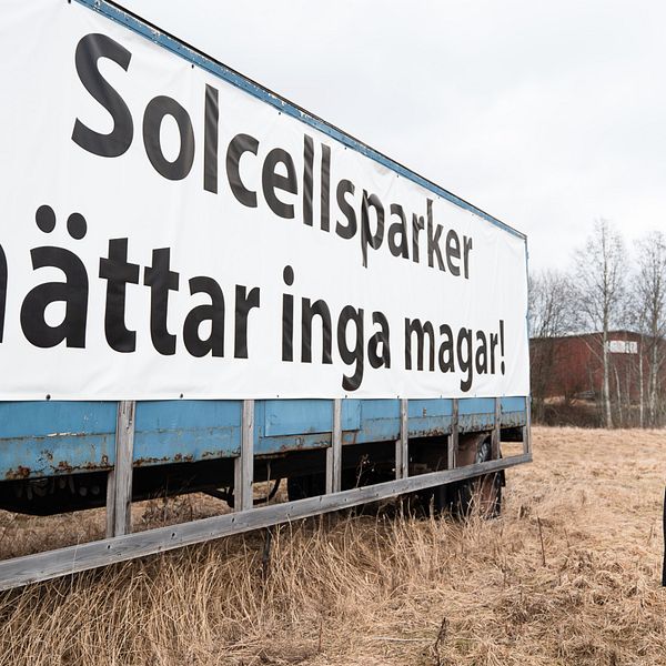 Lars-Gunnar Sandin står på åkermark vid sin stora uppsatta skylt där det står ”Solcellsparker mättar inga magar”. Nu ska skylten ner.