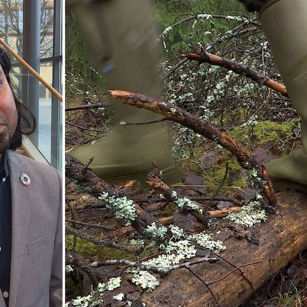 Tvådelad bild: Forskningsledaren Avit Bhowmik från Karlstads universitet och en person som går i skogen med gröna gummistövlar.