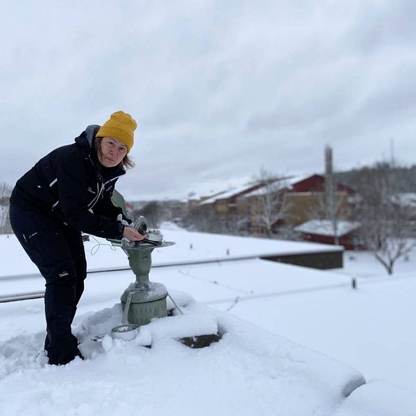 Katrin Edholm, miljö och hälsoskyddsinspektör, står vid en pollenfällla på ett snöigt tak i Forshaga.