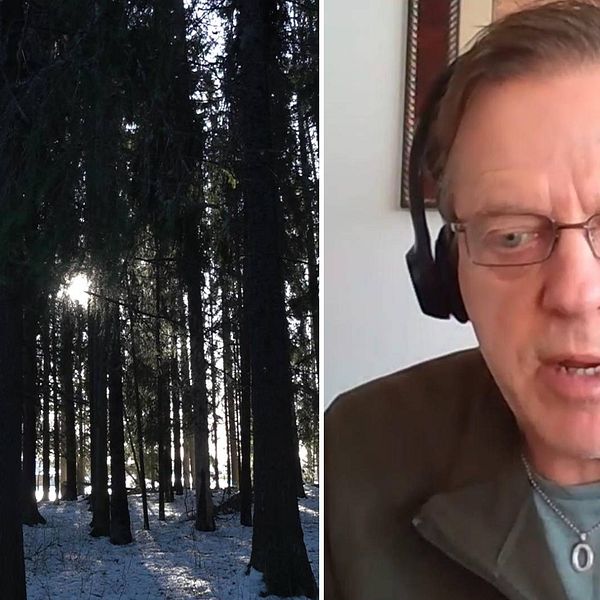 Delad bild, dels på skog och dels på man som är professor.