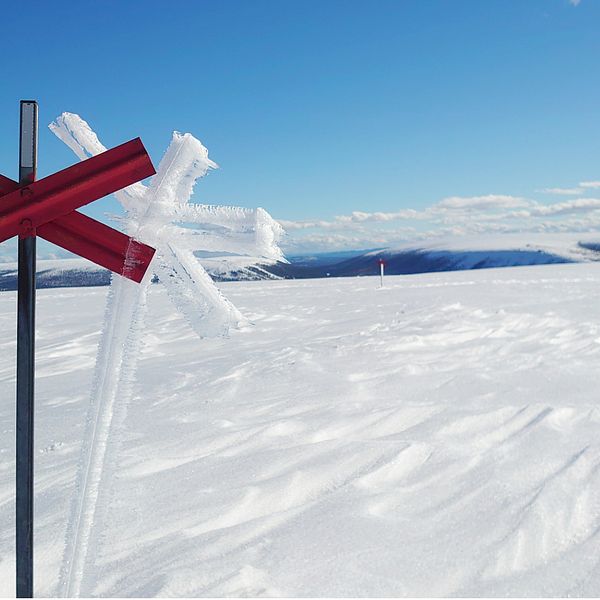 Ett ledkryss uppe på toppen av Stor-Närfjället i Sälen blev utsedd till månadens bild och där vårvintern precis börjat.