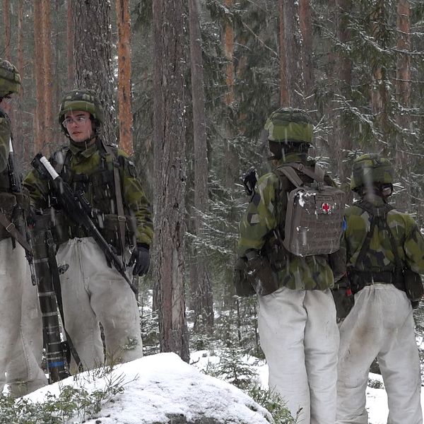 Fem värnpliktssoldater med grön kamouflage upptill och vita byxor. De står i en barrskog där det är snö på marken.