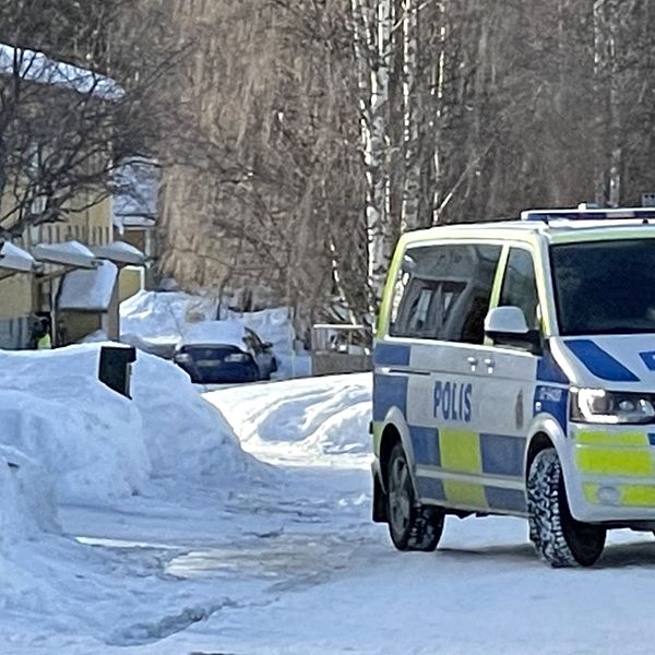 En polisbil står parkerad längs en snötäckt gata i ett bostadsområde i Malå kommun. I bakgrunden syns en gul och en grön fastighet.