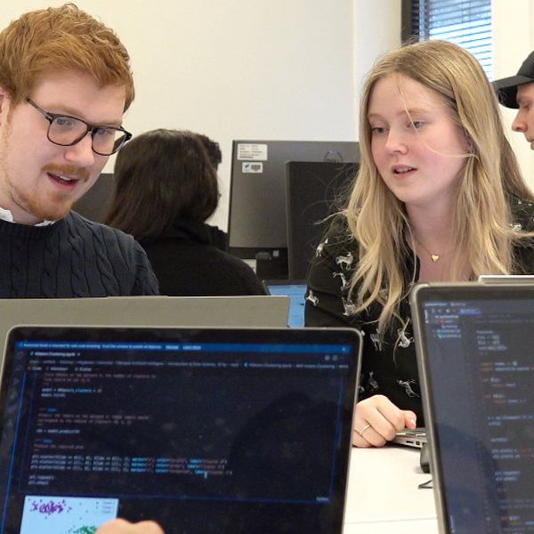 Två studenter som studerar ”Tillämpad artificiell intellegens” på höskolan i Halmstad sitter vid sina datorer.