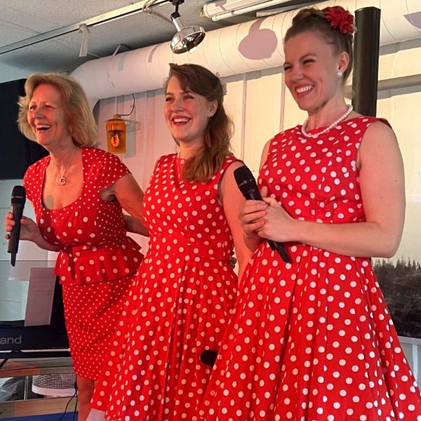 I klippet berättar Ulrica, Maria och Josefine Hebbe om sitt engagemang för att få in musik och kultur på våra äldreboenden.