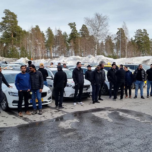 Flera rader med taxibilar på en parkeringsplats i Umeå. Framför bilarna står ett 20-tal taxichaufförer uppradade.