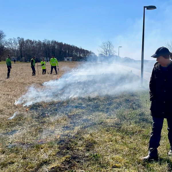 På bilden eldas gräset på Örby ängar i Helsingborg – en urgammal metod som kallas naturvårdsbränning” och gynnar den biologiska mångfalden.