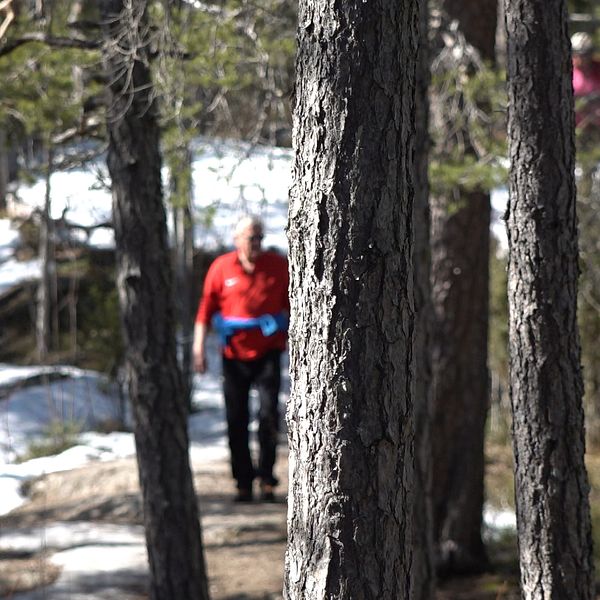 På bilden syns tät skog, med en stig där en man i röd jacka kommer gående mitt i bild.