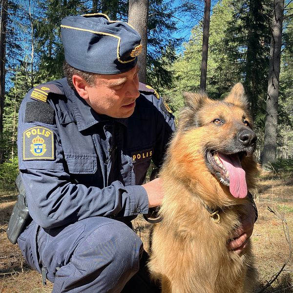 Polisen Jörgen Modin sitter med knä i backen i skogsmiljö och klappar om sin schäferhund Ärras.
