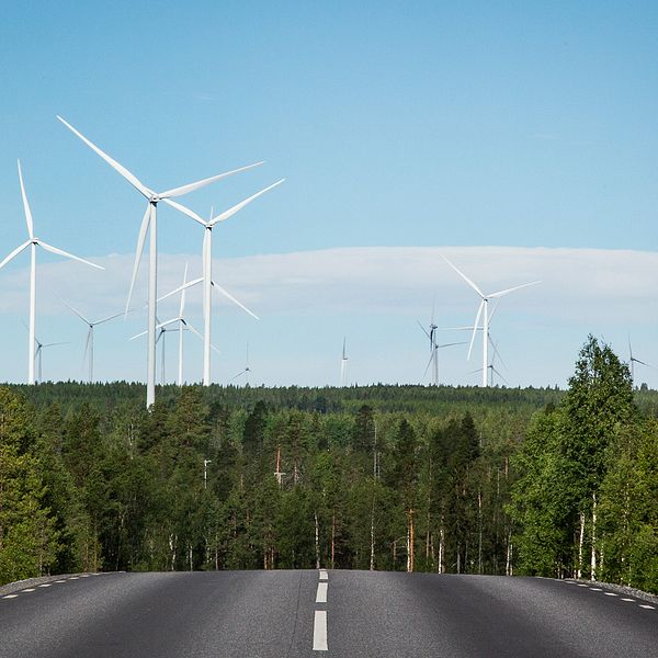 Vindkraftsnurror ses på vägen mot byn Koler i Markbygden, Norrbotten. Europas största vindkraftspark på land.