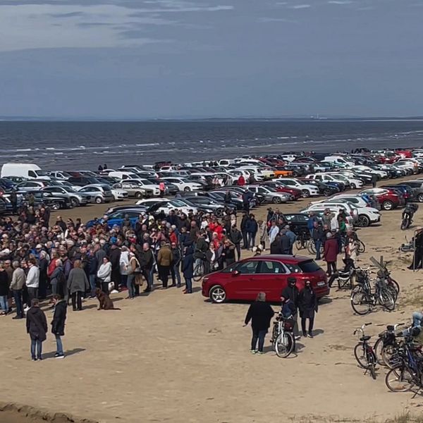 Tusentalsbilar och ännu fler människor står samlade på stranden, precis vid havet.