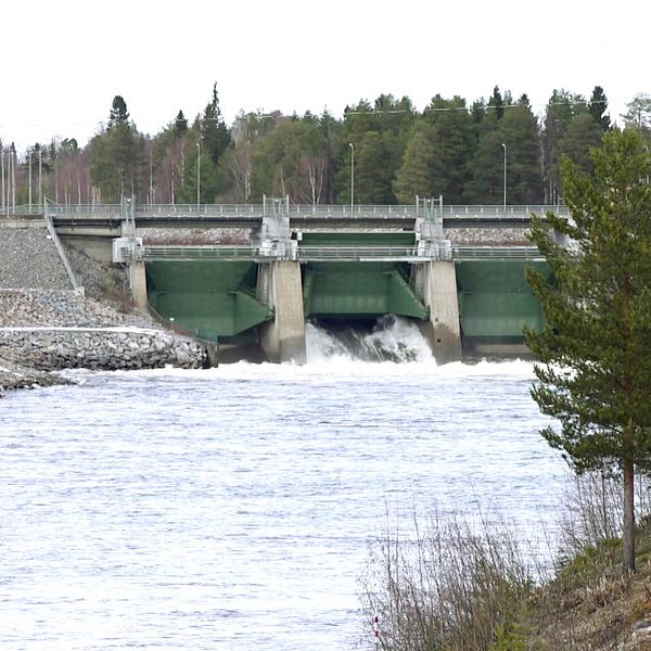 Vårflod strömmar vid vattenkraft i Boden.