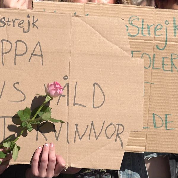 Några av de plakat som hölls upp under manifestationen på Stortorget i Örebro.