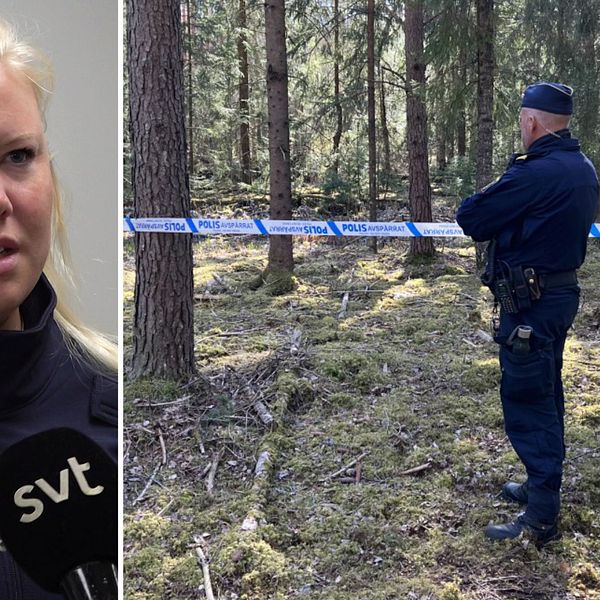Polisens presstalesperson Sophia Jiglind, en yngre blond kvinna, intervjuas av SVT. Till höger en polis vid en avspärrning i skogen.