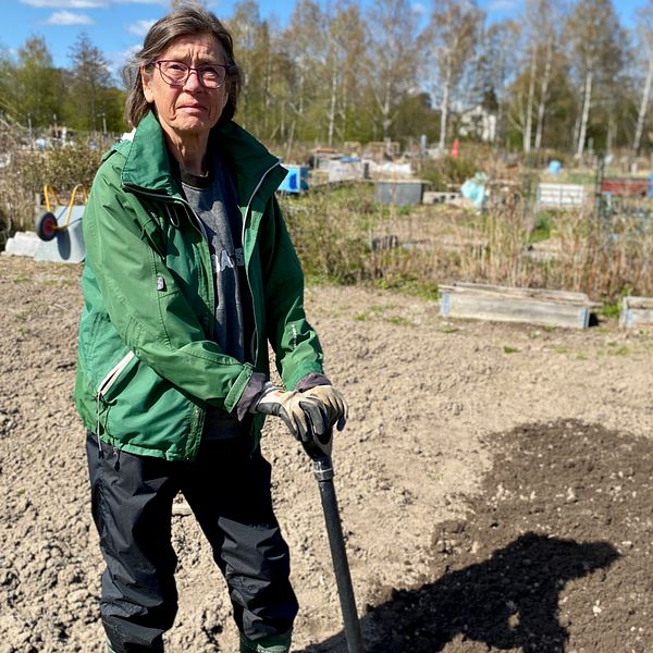 Helena Fridman på Hamre fritidsodlarförening i Västerås