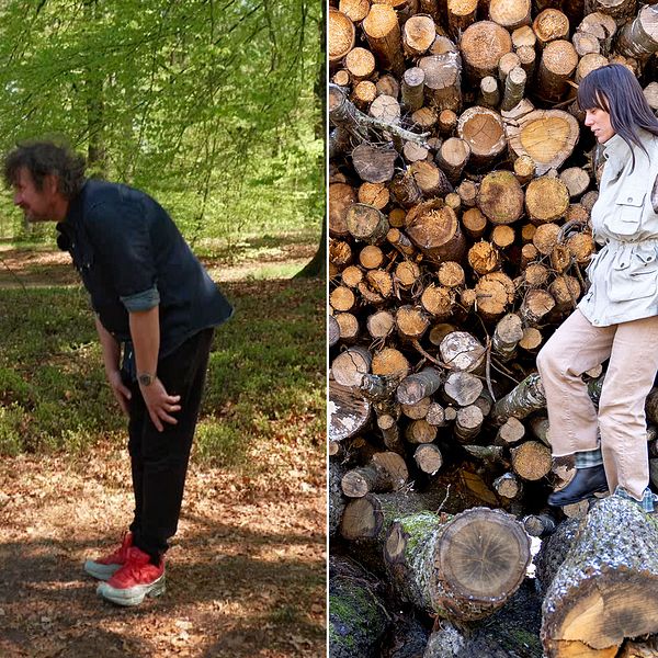 I Wanås konstpark i norra Skåne kan besökare uppleva Carola Grahns jojkmaskin, och fram till november 2023 pågår även en utställning med konstnären. Se Dennis Dahlqvists recension i klippet.