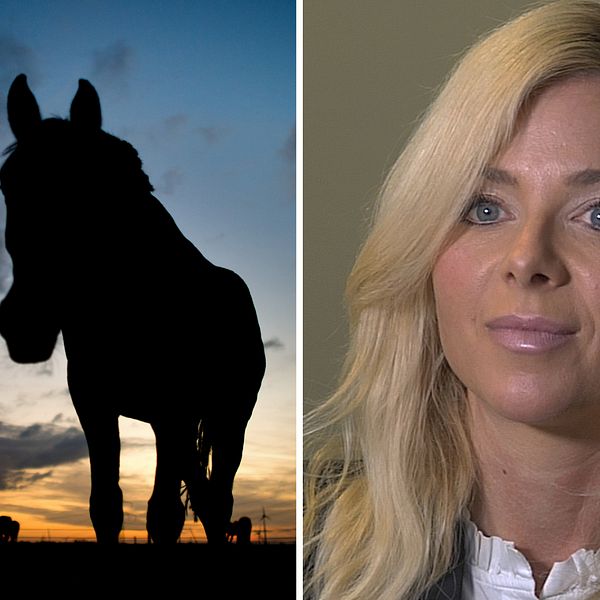 Bilden är ett montage, till vänster en bild på en siluett av en häst i motljus. Till höger ser man en bild på ljushårig kvinna som tittar in i kameran.