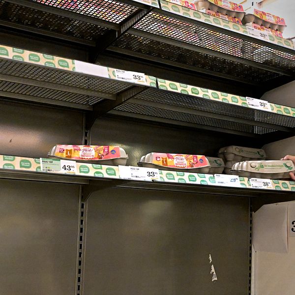 Bild på urplockad hylla med få äggkartonger kvar i en livsmedelsbutik.