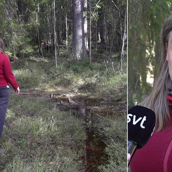 Två bilder: Till vänster: En kvinna med långt mörkgrått hår, blå byxor och röd fleesjacka syns gå in i skogen. Till höger: En porträttbild på samma kvinna.