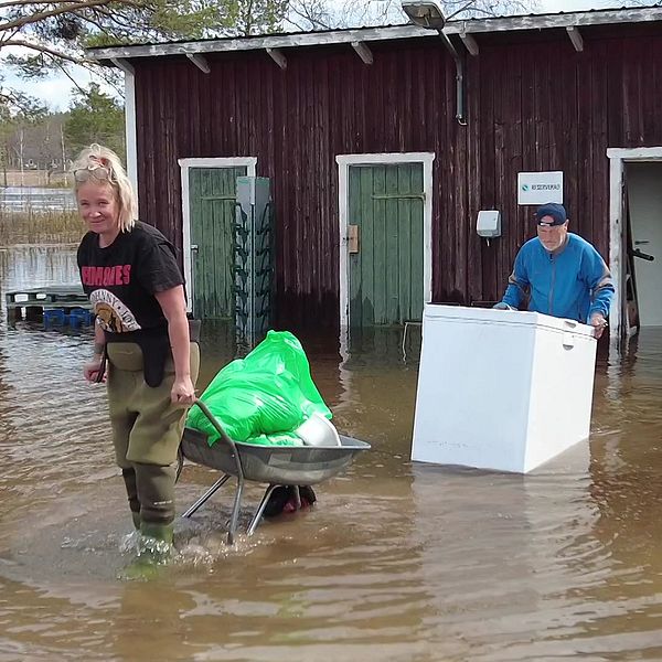 En kvinna som drar skottkärra från uthus i vatten upp till smalbenen. Man med frysbox i översvämning.