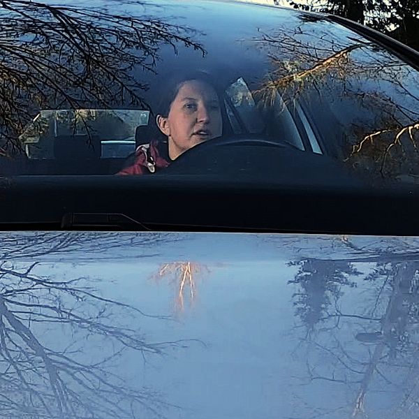 Träd speglar sig i vindruta och motorhuv, i bilen ser man Sofia Holmqvist