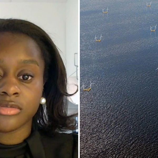 En kvinna och moderat politiker Rose Magamba delad bild på ett hav med små animerade vindkraftverk
