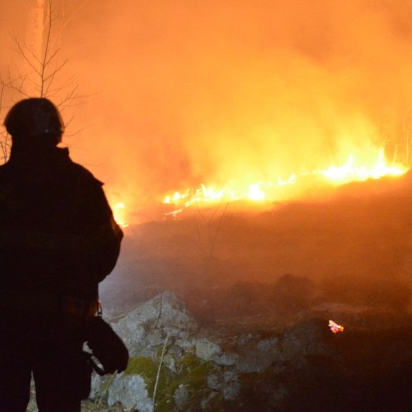 Skogsbrand med öppna lågor och kraftig rökutveckling. I förgrunden syns silhuetten av en person från räddningstjänsten.