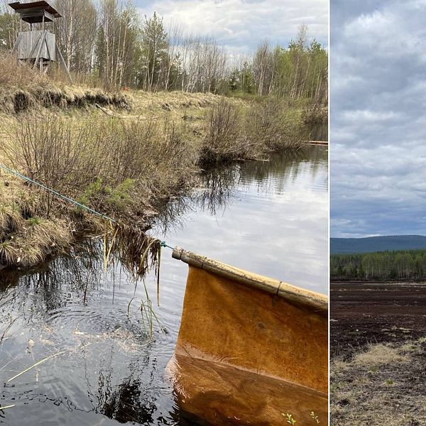 Kvinna som står vid en damm med vatten plus bild på torvmyr