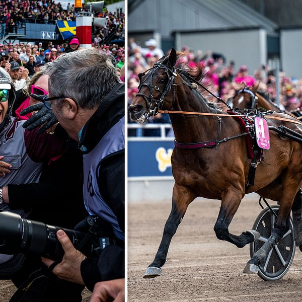 Gabriele Gelormini vann Elitloppet på rekordtid.