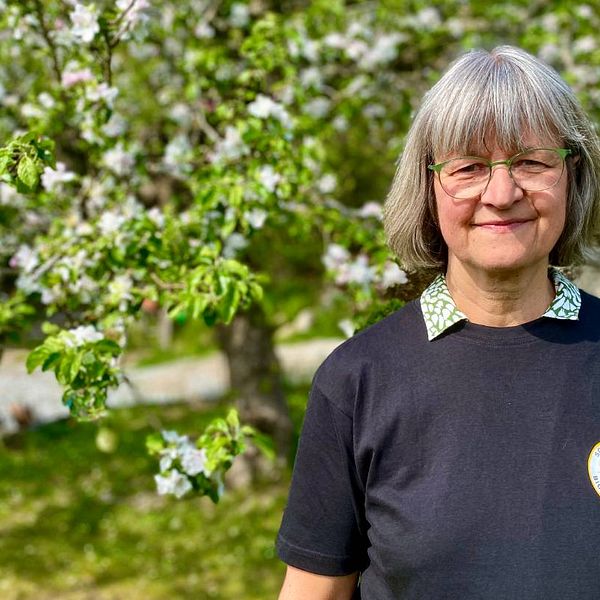 En bild på en gråhårig kvinna, Hanne Uddling, som står ute i naturen.