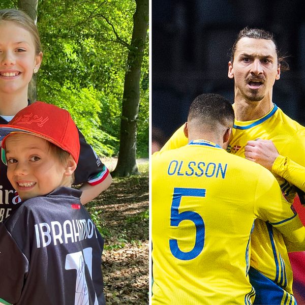 Zlatan hyllas bland annat av Kungahuset och Emil Forsberg.